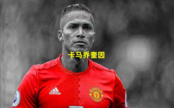 卡马乔奎因