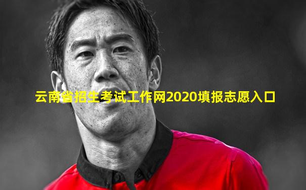 云南省招生考试工作网2020填报志愿入口