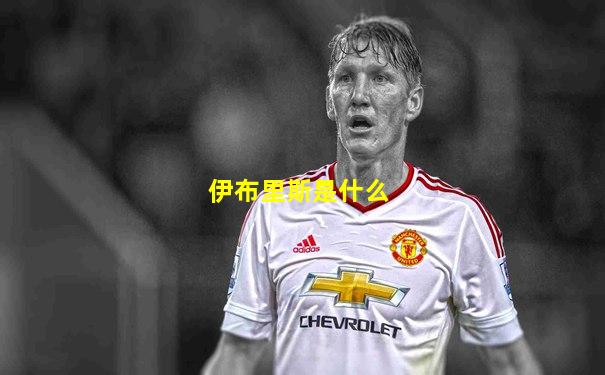 伊布里斯是什么