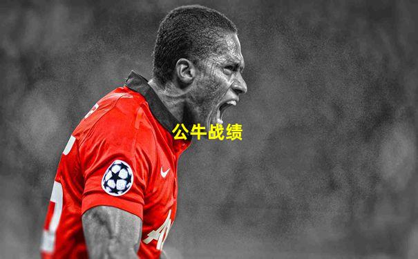 公牛战绩
