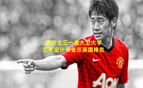 威尔士三一圣大卫大学艺术设计专业在英国排名
