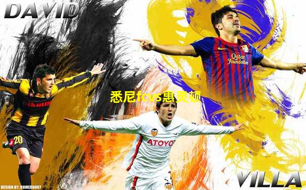 悉尼fcvs惠灵顿