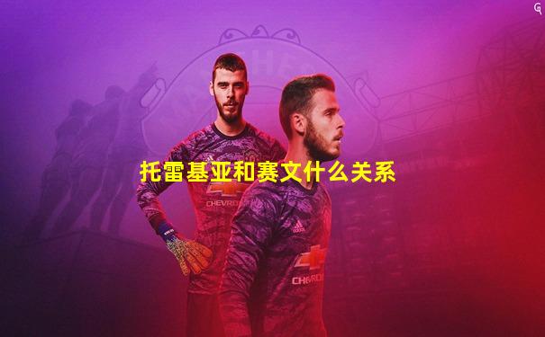 托雷基亚和赛文什么关系