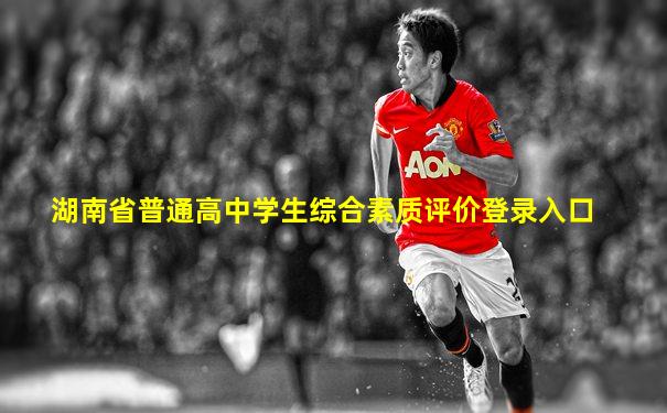 湖南省普通高中学生综合素质评价登录入口