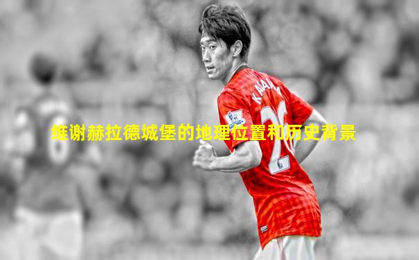 维谢赫拉德城堡的地理位置和历史背景