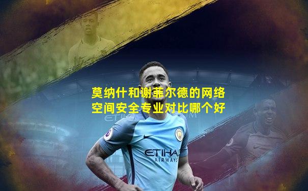 莫纳什和谢菲尔德的网络空间安全专业对比哪个好