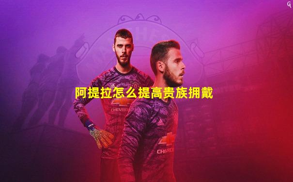 阿提拉怎么提高贵族拥戴
