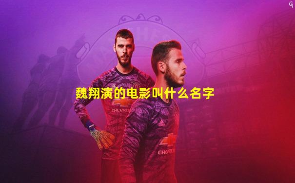 魏翔演的电影叫什么名字